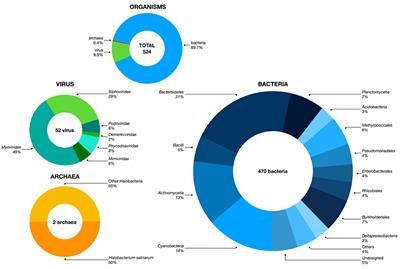 Exploring the Microbiota of the Guarapiranga Water Reservoir With Long-Read Sequencing Technology
